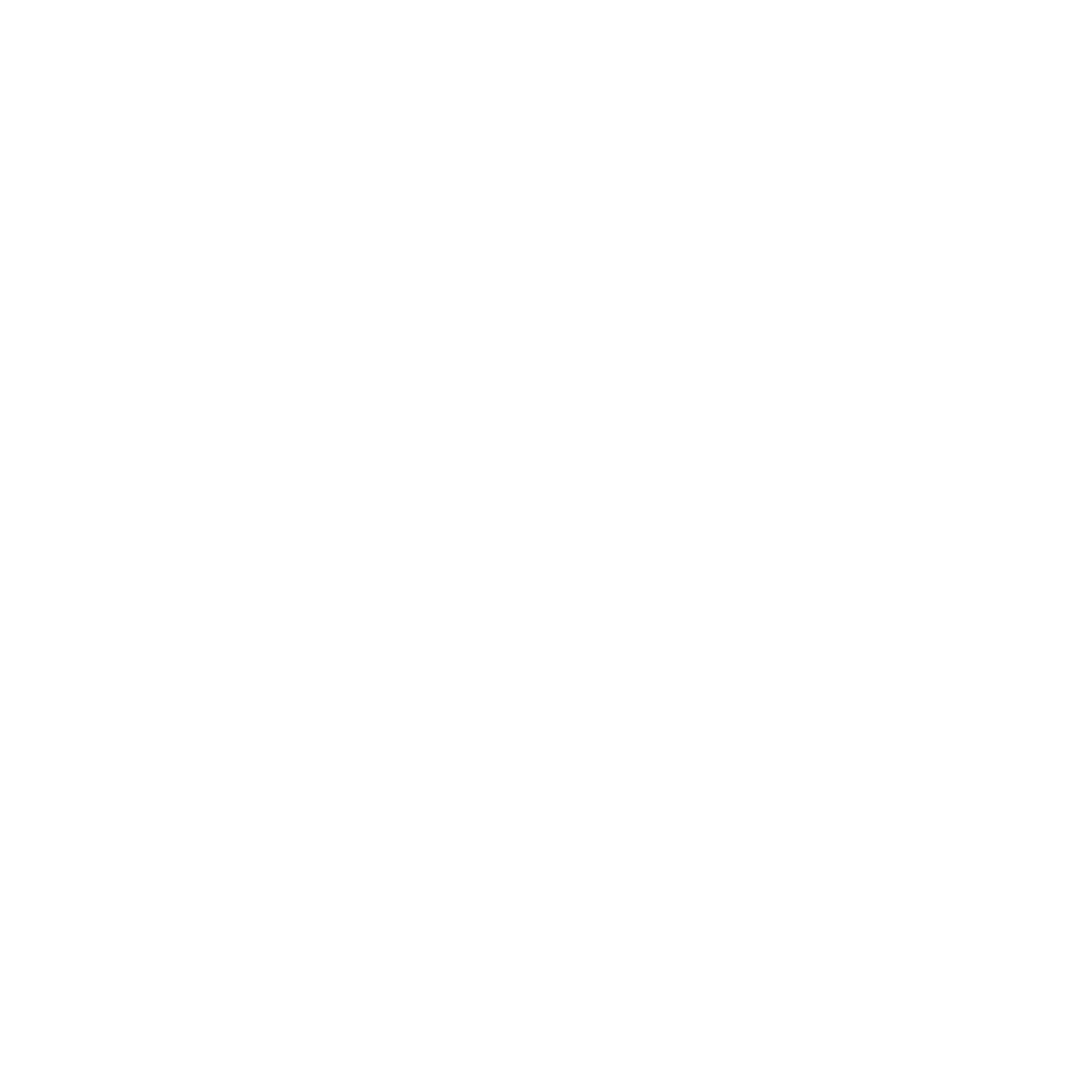 altmiraguit